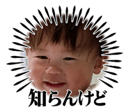 839081513