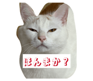 839081569