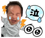 839081613