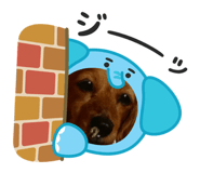 839081755