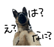 839082025