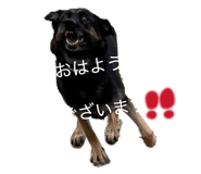 839082026