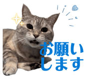 839082528