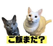 839082565