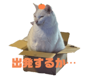 839082568