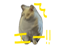 839082570