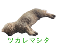 839082931