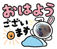 839083115