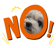 839083124