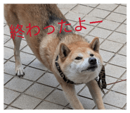 839083209