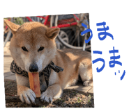 839083211
