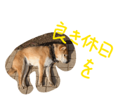 839083213