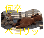 839083221