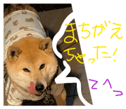 839083234