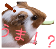 839083270