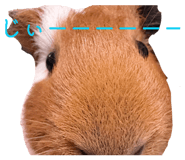 839083272