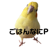 839083625