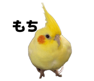 839083627