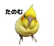 839083628