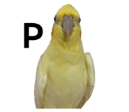 839083629