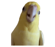 839083630