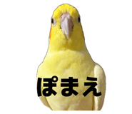 839083631