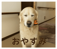 839084075