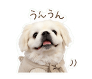 839084140