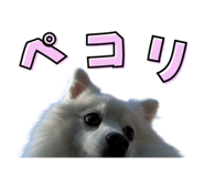 839084232