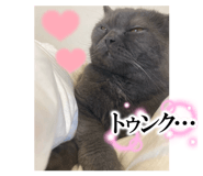 839084628