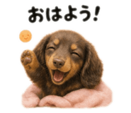 839084773