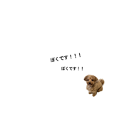 839084815