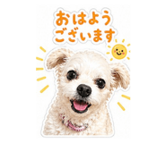 839084952