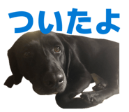 839085321