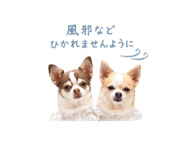 839085771