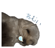 839086005