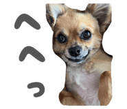 839086572
