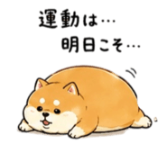 839086636