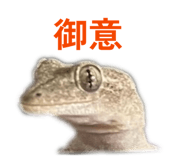 839086833