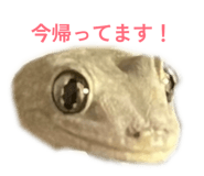 839086834