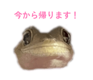 839086835