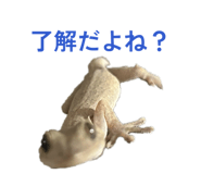 839086837