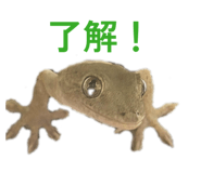 839086839