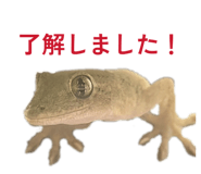 839086840