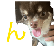 839087798