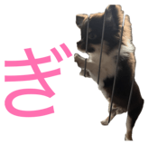 839087809