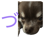 839087820