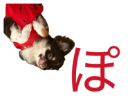 839087832