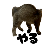 839087969