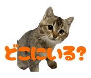 839087976